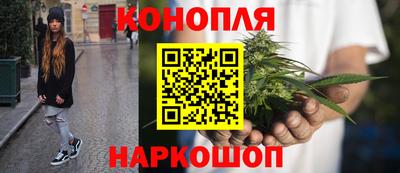 МДПВ Ирбит