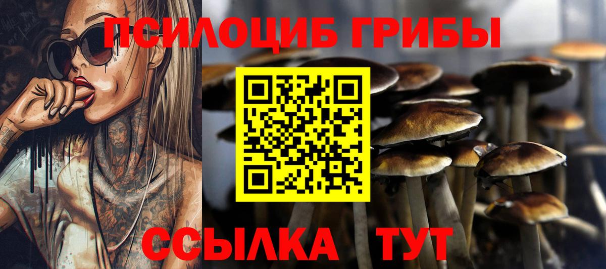 Лесозаводск  Псилоцибиновые грибы Cubensis  Галлюциногенные грибы MAGIC MUSHROOMS  Вход с VPN 